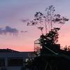 忘带体检合格证