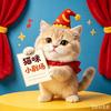 猫咪小剧场