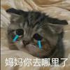 9亿帅哥的梦