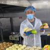 侯大脸手工老面馒头（摆摊版）