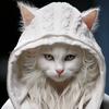 猫大人