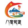 西藏八宿党建