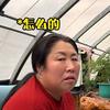 大全婆媳日常
