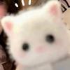 TT🐰
