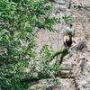 越来越野的Amber💚🧗‍♀️
