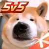 老实人狗子⭐（李信）