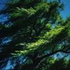 👀