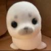 qq