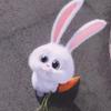 淦彡金