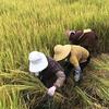 村里大妈跳不齐