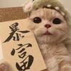 爱吃五花肉的ねこ（海王版）