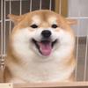 奕轩的下班时光