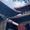 高新Aimar的建筑观