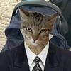 严肃猫me