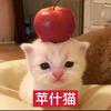 不知名苹果派