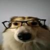 梧桐