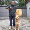 北京犬道私塾-懒龙