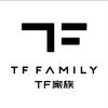 TF家族_