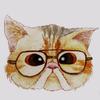 猫哥中考升学规划（顶尖生源）
