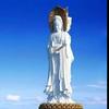 茗苏（国风未来）
