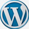 WordPress建站-老王