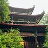 价投掘金