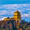 济源文旅集团