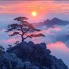陌上花开