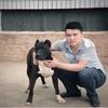 萌犬旺旺（阿龙）