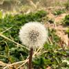 碧波碧波
