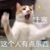 搬小板凳吃瓜