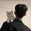 嘉伟