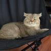 Luna·Xi🍒