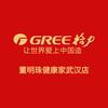 格力董明珠健康家武汉空调工厂直播间
