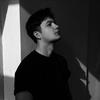 Alxer-lion