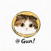 Gun!