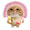 多金多金