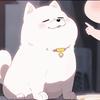 二哈
