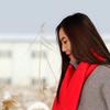 地里的梅子