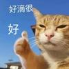 哦哦哦、