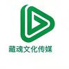藏魂文化传媒