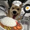 阿詹吃什么