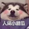 阿雪雪雪雪呀！