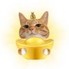 鼻嘎一家🐱