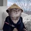 游戏小猫侠