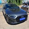 不爱狼的羊（Audi）