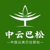 中云巴松