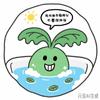 植物光合要泡澡