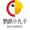 鹦鹉小丸子