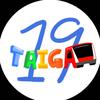 TAIGA19